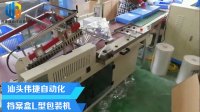 潮州潮安檔案盒L型包裝機(jī)