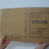 政府、企業(yè)單位檔案袋和檔案盒打印機(jī)  DN9905打印機(jī)