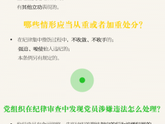 一圖讀懂《中國共產(chǎn)黨紀(jì)律處分條例》