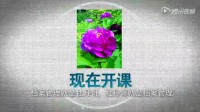 文書檔案件號章的填寫視頻